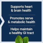 Folate & Vitamin B12 for Heart and Brain Health
