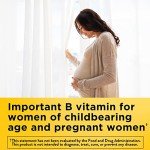 Nature Made Folic Acid 400 mcg, 250 Tablets