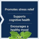 Ashwagandha Supplement for Stress Relief – 60 Capsules
