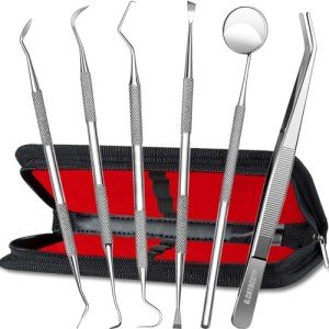 Dental Hygiene Kit - Stainless Steel Tools Set
