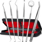 Dental Hygiene Kit - Stainless Steel Tools Set