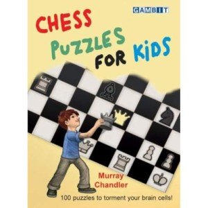 Fun Chess Puzzles for Kids Under $10