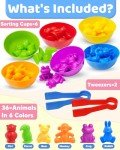 Counting Animals Montessori Toys for Kids