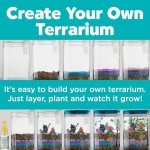 Kids Glow Terrarium Kit - Fun STEM Project