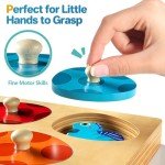Dinosaur Wooden Peg Puzzles for Toddlers
