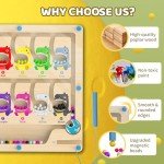 Magnetic Color and Number Maze Puzzle for Kids