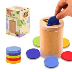 Color Sorting Wooden Sensory Toys for Toddlers