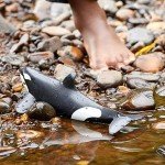 Killer Whale Figurine for Kids 3+