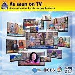 Purple Ladybug Suncatcher Kits for Kids