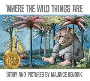 Wild Things Adventure Book for Kids