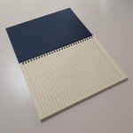 B5 Spiral Notebook with Lined Pages - Blue