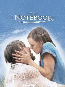 Simple & Stylish Notebook for Everyday Use