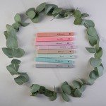 Colorful Bible Highlighters - 8 Pack Markers