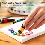 Acrylic Paint Set - 16 Tubes, Non-Toxic Colors