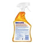Lysol All-Purpose Cleaner Spray - Mango & Hibiscus