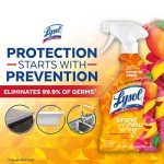 Lysol All-Purpose Cleaner Spray - Mango & Hibiscus