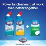 Clorox Toilet Cleaner Gel, Ocean Mist - 2 Pack