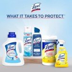 Lysol Toilet Bowl Cleaner Gel - 2 Pack