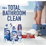 Lysol Toilet Bowl Cleaner Gel - Forest Rain Scent