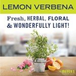 Mrs. Meyer’s Vinegar Gel Spray - Lemon Verbena