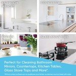 Windex Citrus Multi-Surface Cleaner Spray, 23 oz