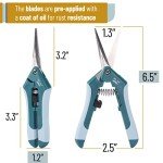 6.5 Inch Stainless Steel Pruning Scissors