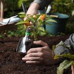 Sungwoo 3-Piece Lightweight Garden Tool Set