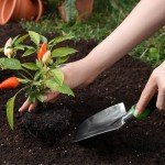 Sungwoo 3-Piece Lightweight Garden Tool Set