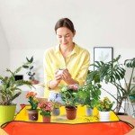 Gardening Tool Set & Repotting Mat (Orange)