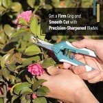 6.5 Inch Stainless Steel Pruning Scissors