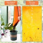 Indoor Plant Repotting Mat - 26.8" Square