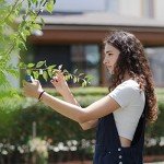 6.5 Inch Stainless Steel Pruning Scissors