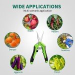 6.5'' Stainless Steel Gardening Pruning Shears