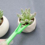 Mini Garden Succulent Transplanting Tools Set of 6