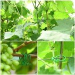 80ft Green Plant Twist Ties with 20 Clips