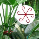 4pcs Plant Stem Support Rings for Climbing Plants