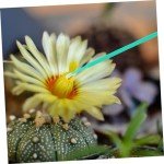 100Pcs Vegetable Pollinator Tool Set for Gardening