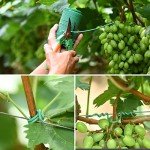 80ft Green Plant Twist Ties with 20 Clips