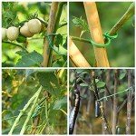 80ft Green Plant Twist Ties with 20 Clips