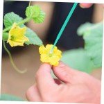 100Pcs Vegetable Pollinator Tool Set for Gardening