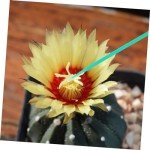 100Pcs Vegetable Pollinator Tool Set for Gardening