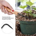 Bonsai Root Hook with Wooden Handle – Under $10