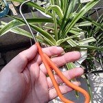 Bonsai Root Hook Tool - 8.27" Stainless Steel