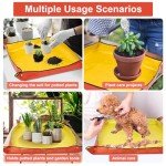 Indoor Plant Repotting Mat with Garden Tools
