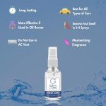 G's Breeze Long-Lasting Car Air Freshener