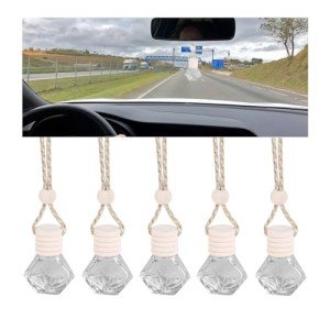 5PCS Hanging Car Air Freshener with Clip