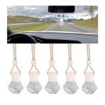 5PCS Hanging Car Air Freshener with Clip
