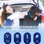 6 Pack Car Air Fresheners - Fresh & Long Lasting