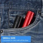 5 Pack Mini Flashlights with Lanyard & Batteries