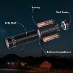 5 Pack Mini Flashlights with Lanyard & Batteries